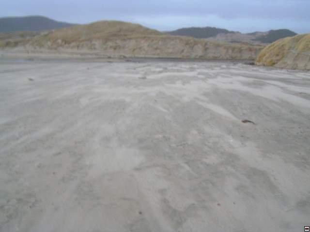 Steward Island 033.jpg